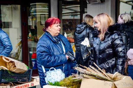 Spuščanje gregorčkov v Rimskih Toplicah 4